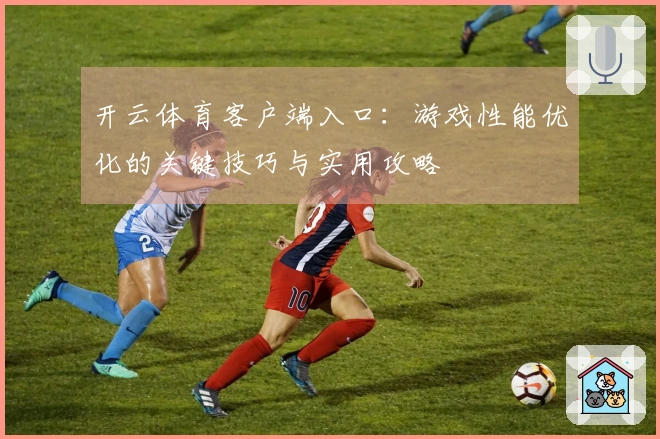 开云体育客户端入口：游戏性能优化的关键技巧与实用攻略