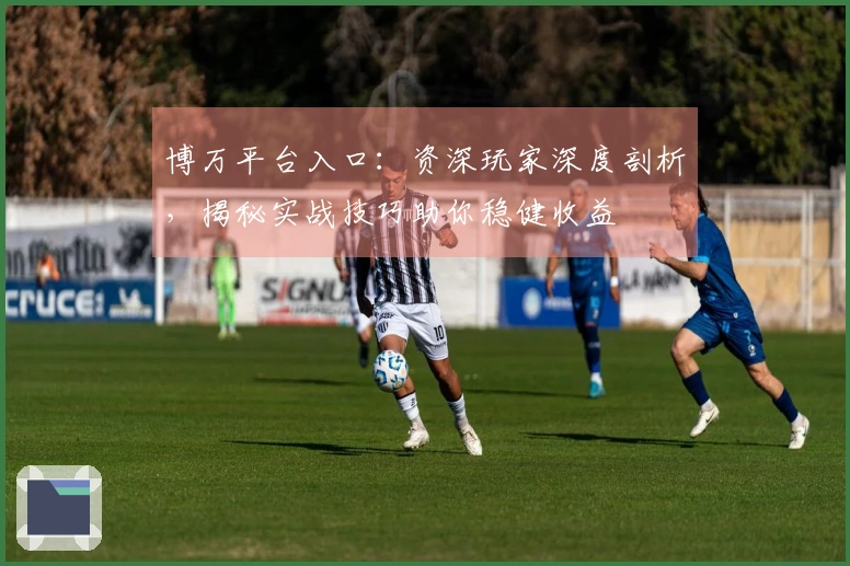 博万平台入口：资深玩家深度剖析，揭秘实战技巧助你稳健收益