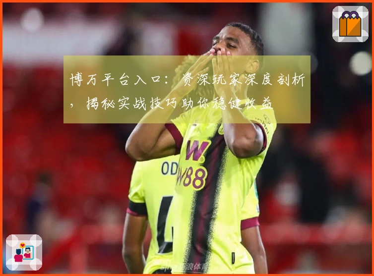 博万平台入口：资深玩家深度剖析，揭秘实战技巧助你稳健收益
